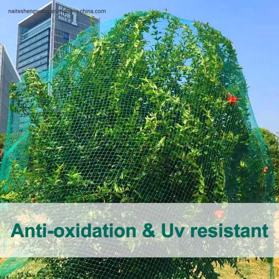 Rede de jardim com malha quadrada de 2.4 